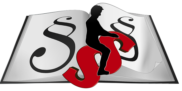 Lawyer, Attorney, Law, Judge