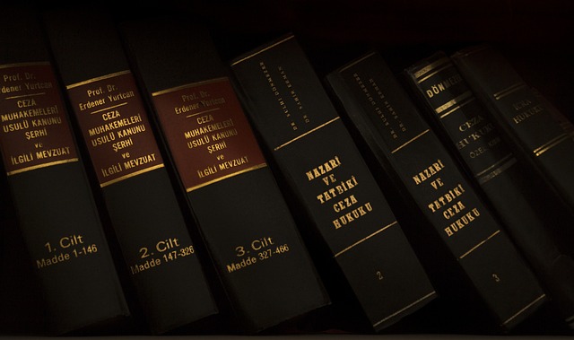 lawyer-attorney-law-judge-640x480-98880607.jpeg