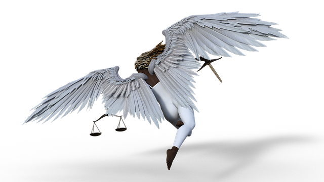 Save Money with Boulder’s Top Legal Expert, Fred Winocur – Free Consultations for Diverse Cases